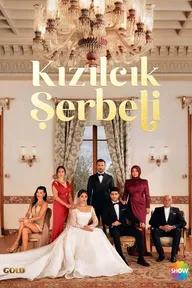 Movie poster of Kızılcık Şerbeti