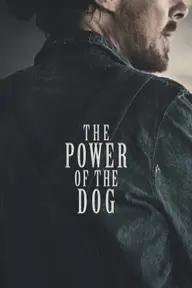 Movie poster of The Power of the Dog