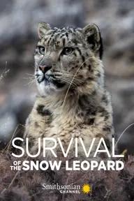 Movie poster of Survival Of The Snow Leopard