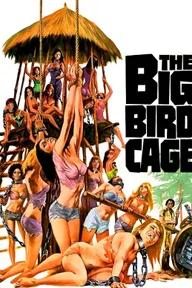 Movie poster of The Big Bird Cage