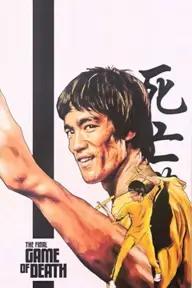 Movie poster of The Final Game of Death