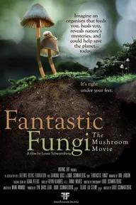 Movie poster of Fantastic Fungi