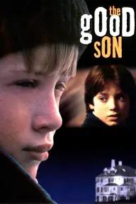 Movie poster of The Good Son