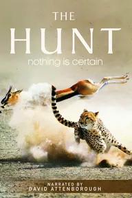 Movie poster of The Hunt