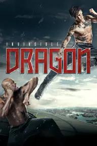 Movie poster of The Invincible Dragon