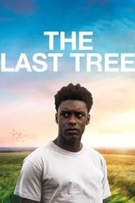 Movie poster of The Last Tree