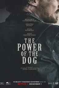 Movie poster of The Power of the Dog