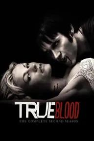 Movie poster of True Blood (Season 2)