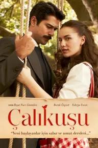 Movie poster of Calikusu