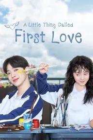 Movie poster of A Little Thing Called First Love