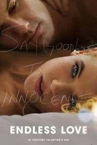 Movie poster of Endless Love