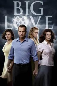 Movie poster of Big Love (Season 4)