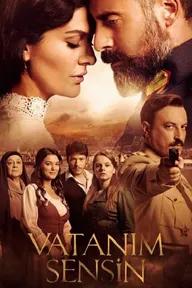 Movie poster of Vatanim Sensin