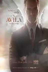 Movie poster of Mr. Avila (Season 2)