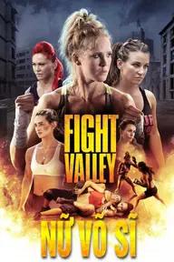 Movie poster of Fight Falley