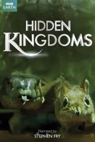 Movie poster of Hidden Kingdoms