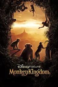 Movie poster of Monkey Kingdom