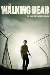 Movie poster of The Walking Dead (Season 4)