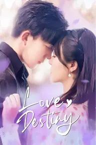 Movie poster of Love Destiny